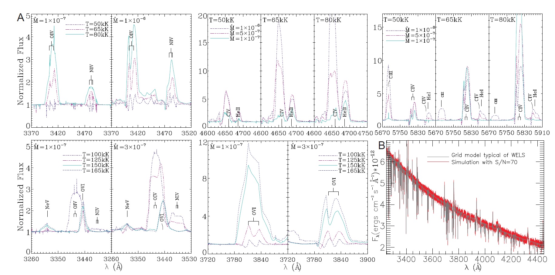 synthetic spectra